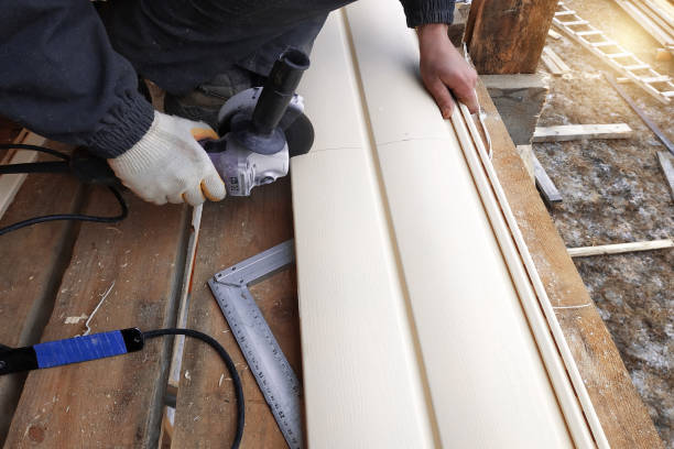 Best Steel Siding Installation  in Shorewood, IL