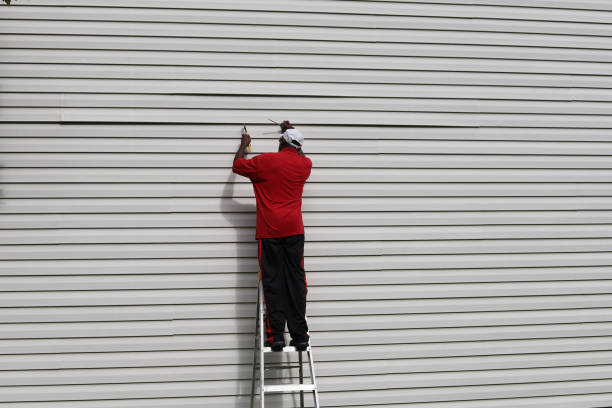 Best Storm Damage Siding Repair  in Shorewood, IL