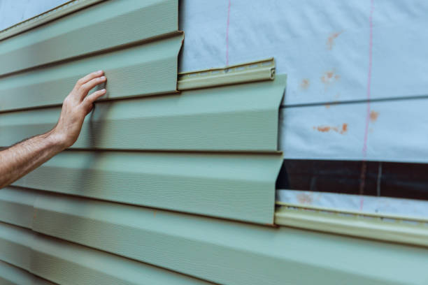 Best Siding Painting and Refinishing  in Shorewood, IL